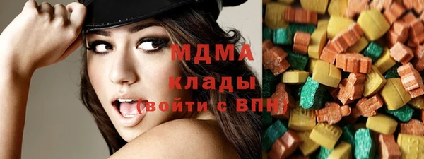 индика Аркадак