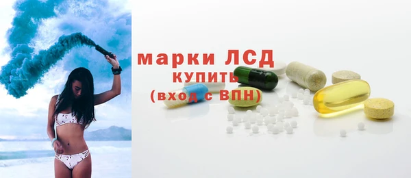 индика Аркадак