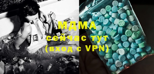 индика Аркадак