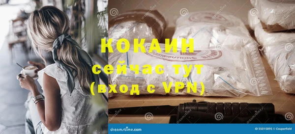 индика Аркадак