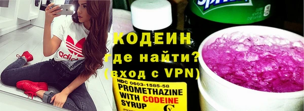 индика Аркадак