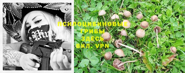 таблы Арсеньев